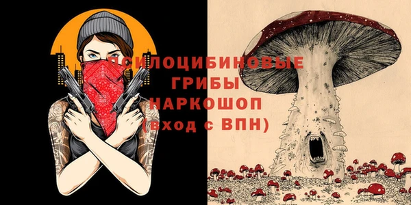 mdpv Россошь