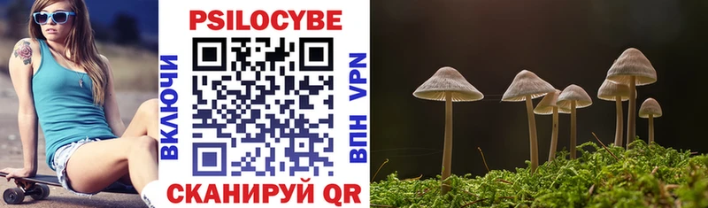 Псилоцибиновые грибы прущие грибы  площадка как зайти  Лебедянь 